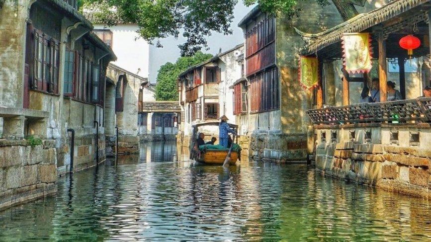 拯救小萌虎