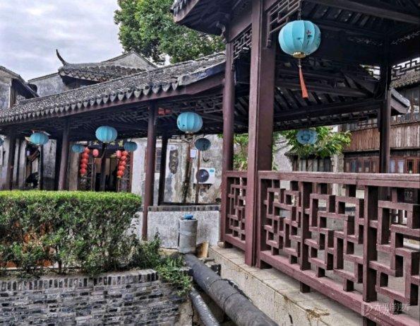 小奶猫可以吃仓鼠零食吗? - 专业问答网站,解答你的疑问